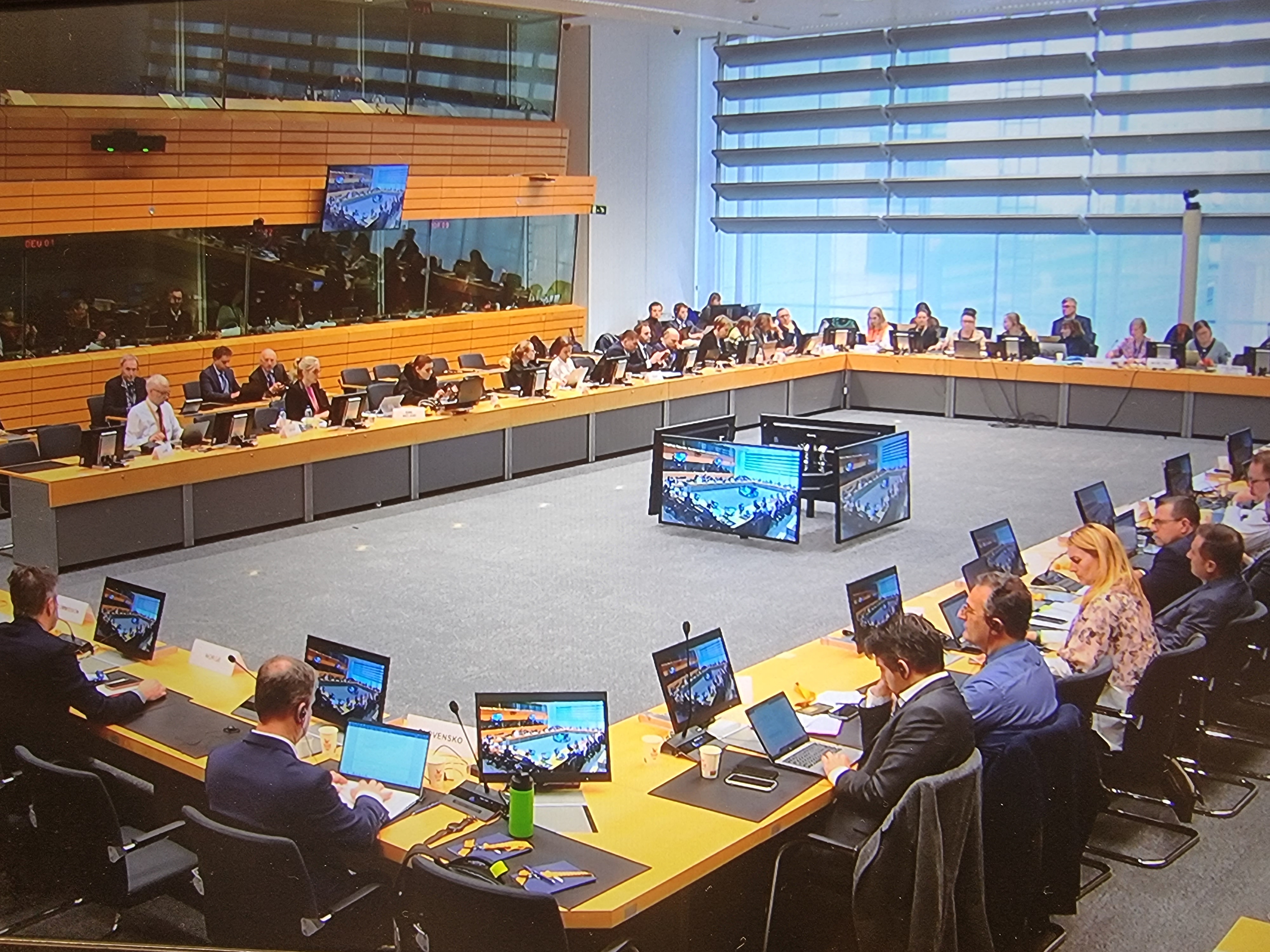 Posiedzenie Grupy Roboczej Głównych Lekarzy Weterynarii państw członkowskich UE w Brukseli w dniu 13.03.2023 r.