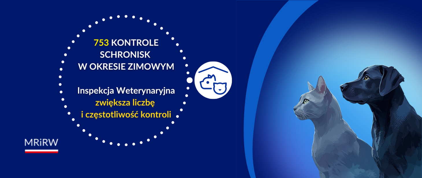 753 kontrole schronisk - Inspekcja Weterynaryjna w
