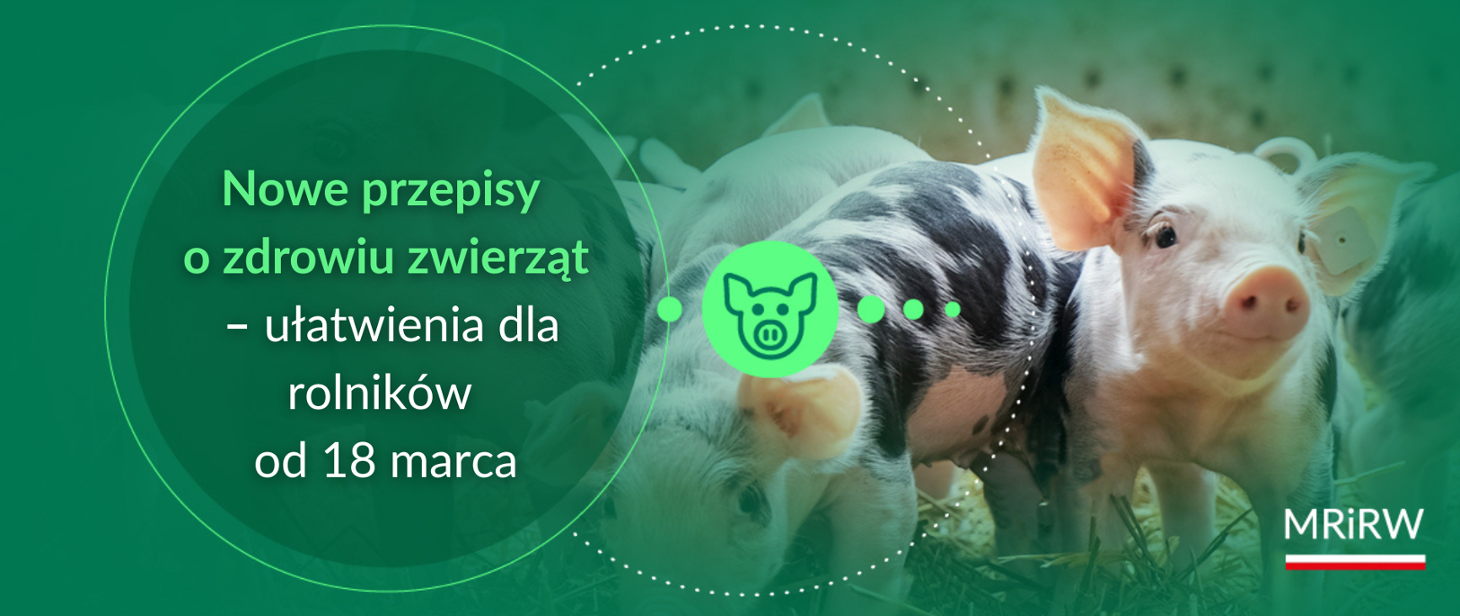 Nowe przepisy o zdrowiu zwierząt - ułatwienia dl