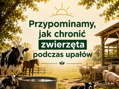 Uwaga! Ostrzeżenia najwyższego stopnia przed upa