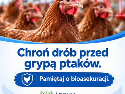 Komunikat Głównego Lekarza Weterynarii dotycząc