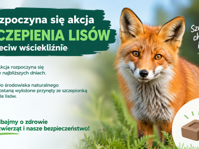 Komunikat dotyczący jesiennej dodatkowej akcji do