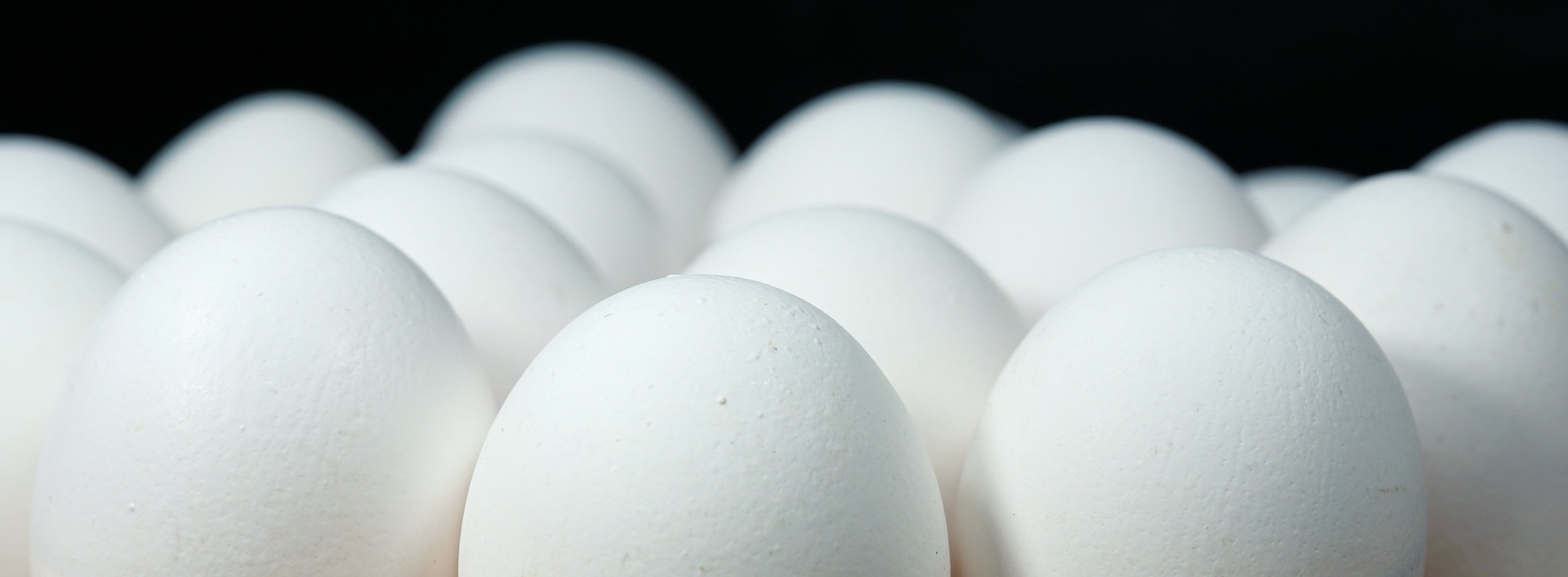 Zniesienie zakazu importu jaj konsumpcyjnych z Pol